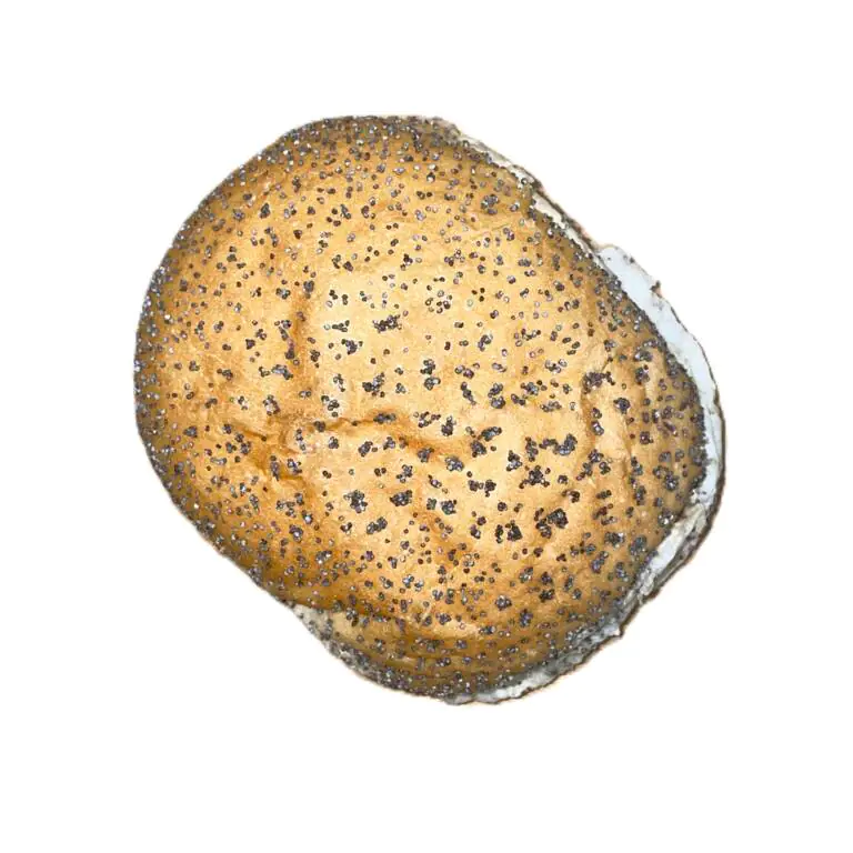 poppy white.webp